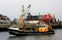 Trawler అమ్మకానీకి వుంది