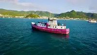 General Cargo/Multi-purpose అమ్మకానికి