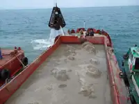 బార్జ్ అమ్మకానికి