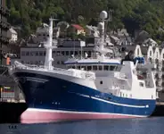 Purse seiner అమ్మకానీకి వుంది