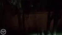 ట్రాలర్ అమ్మకానికి