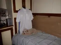 పహారా పడవ అమ్మకానికి