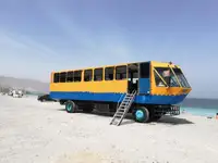 ఉభయచర అమ్మకానికి
