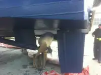 సిబ్బంది పడవ అమ్మకానికి