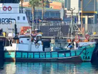 Purse seiner అమ్మకానీకి వుంది