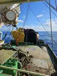 Purse seiner అమ్మకానీకి వుంది
