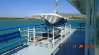 Ro-Ro ship అమ్మకానీకి వుంది