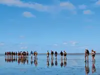 బార్జ్ అమ్మకానికి