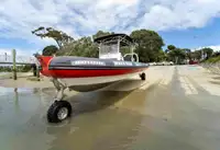 ఉభయచర అమ్మకానికి