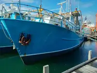 Trawler అమ్మకానీకి వుంది