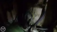 ట్రాలర్ అమ్మకానికి