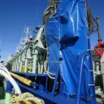 Purse seiner అమ్మకానీకి వుంది
