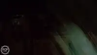 ట్రాలర్ అమ్మకానికి