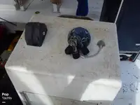 ట్రాలర్ అమ్మకానికి