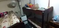 టోబోట్ అమ్మకానికి
