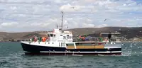 Purse seiner అమ్మకానీకి వుంది