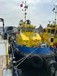 టోబోట్ అమ్మకానికి