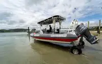 ఉభయచర అమ్మకానికి