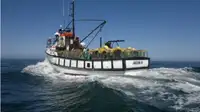 Trawler అమ్మకానీకి వుంది