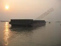 టోబోట్ అమ్మకానికి