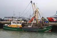 Trawler అమ్మకానీకి వుంది