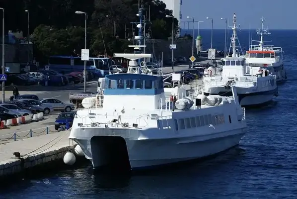 Catamaran for sale
