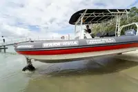 ఉభయచర అమ్మకానికి