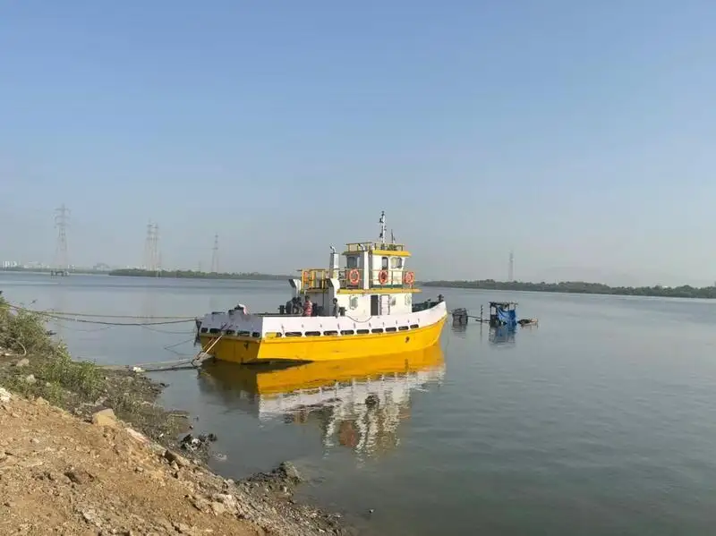 టోబోట్ అమ్మకానికి