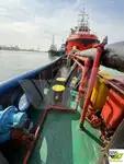 టోబోట్ అమ్మకానికి