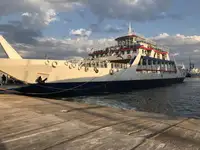 Ro-Ro ship అమ్మకానీకి వుంది