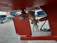 కట్టర్ అమ్మకానికి