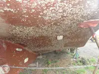 టోబోట్ అమ్మకానికి