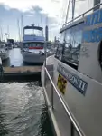 LNG రవాణా నౌక అమ్మకానికి
