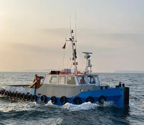 Towboat for sale