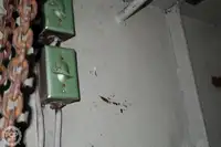 టోబోట్ అమ్మకానికి