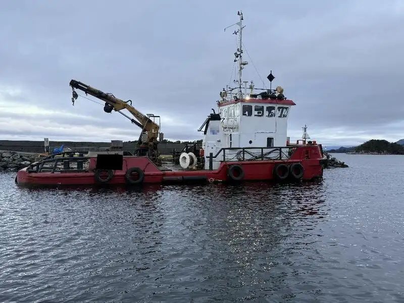 టోబోట్ అమ్మకానికి