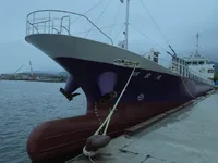 General Cargo/Multi-purpose అమ్మకానికి