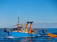 Trawler అమ్మకానీకి వుంది