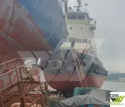 టోబోట్ అమ్మకానికి