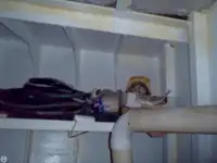 టోబోట్ అమ్మకానికి