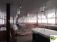 క్రూయిజ్ ఓడ అమ్మకానికి