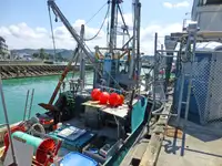 Trawler అమ్మకానీకి వుంది