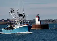 Purse seiner అమ్మకానీకి వుంది