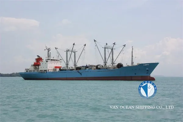 Reefer ship for sale