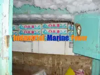 లాంగ్‌లైనర్ అమ్మకానికి