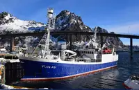 Purse seiner అమ్మకానీకి వుంది