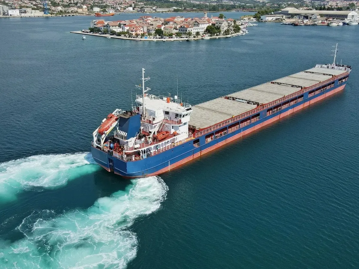 General Cargo/Multi-purpose అమ్మకానికి