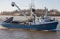 Purse seiner అమ్మకానీకి వుంది