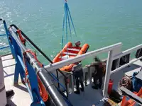 టోబోట్ అమ్మకానికి