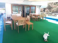 బహుళ ప్రయోజనం అమ్మకానికి